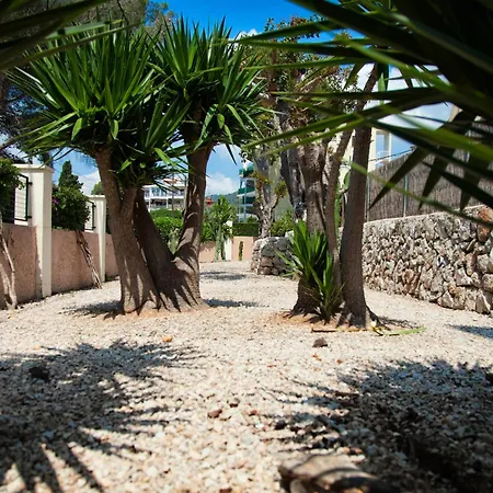 Apartament Naika &